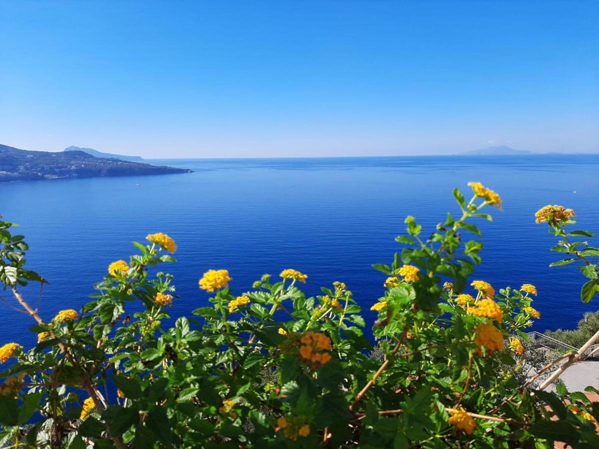 Апартаменты Bella Vista House-Sorrento Coast - Free Parking-Solarium Вико-Экуенсе Экстерьер фото