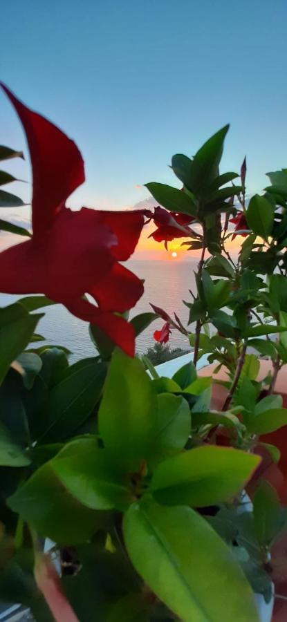 Апартаменты Bella Vista House-Sorrento Coast - Free Parking-Solarium Вико-Экуенсе Экстерьер фото